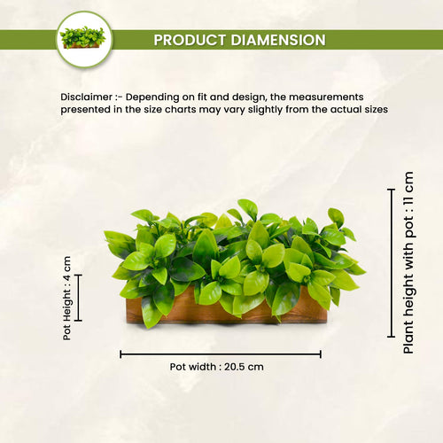 Artificial Citrus Green Leaves Plant in Wooden Small Rectangular Planter