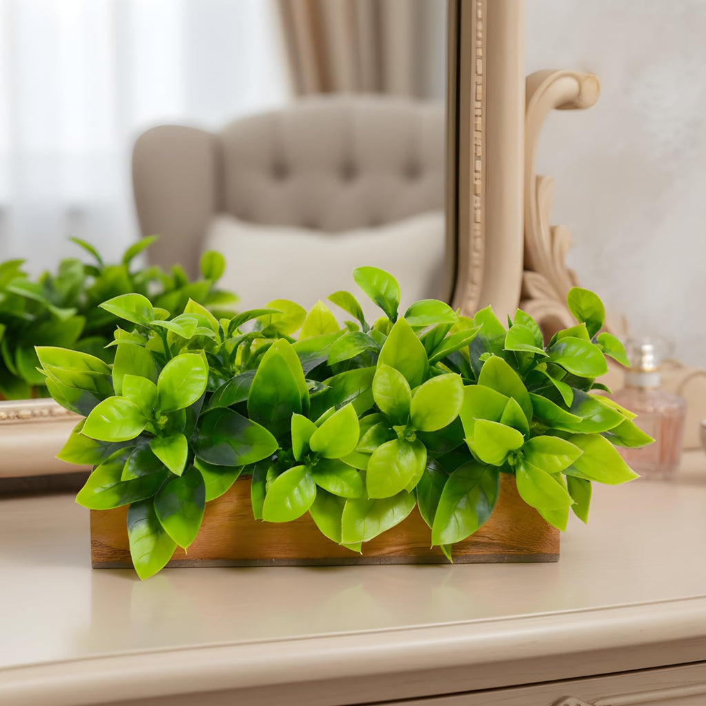 Artificial Citrus Green Leaves Plant in Wooden Small Rectangular Planter
