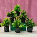 6 Pc Mini Artificial Plants Indoor For Home (Height : 17Cm, Black)